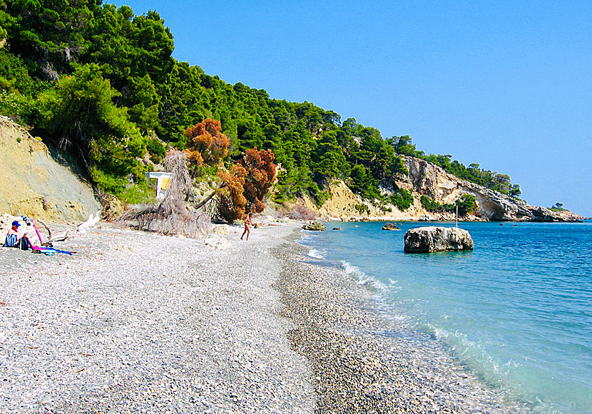 Vythisma beach söder om Chora är Alonissos officiella nudiststrand. 