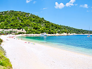 Leftos Gialos  beach på Alonissos.