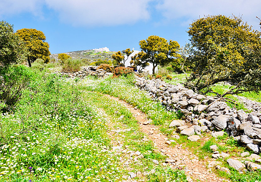 Vandring från Langada till Agios Theologos på Amorgos.