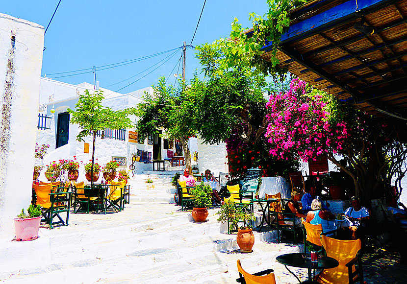 Kaféer och barer i Chora på Amorgos.