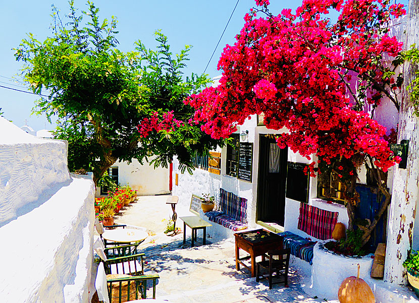 Kafé och bar i Chora på Amorgos.