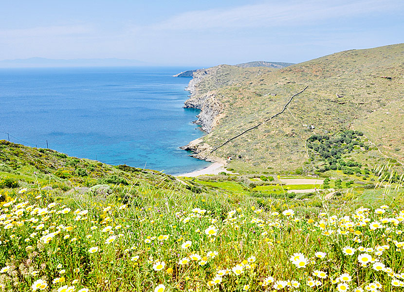 Lefkes beach på Amorgos.