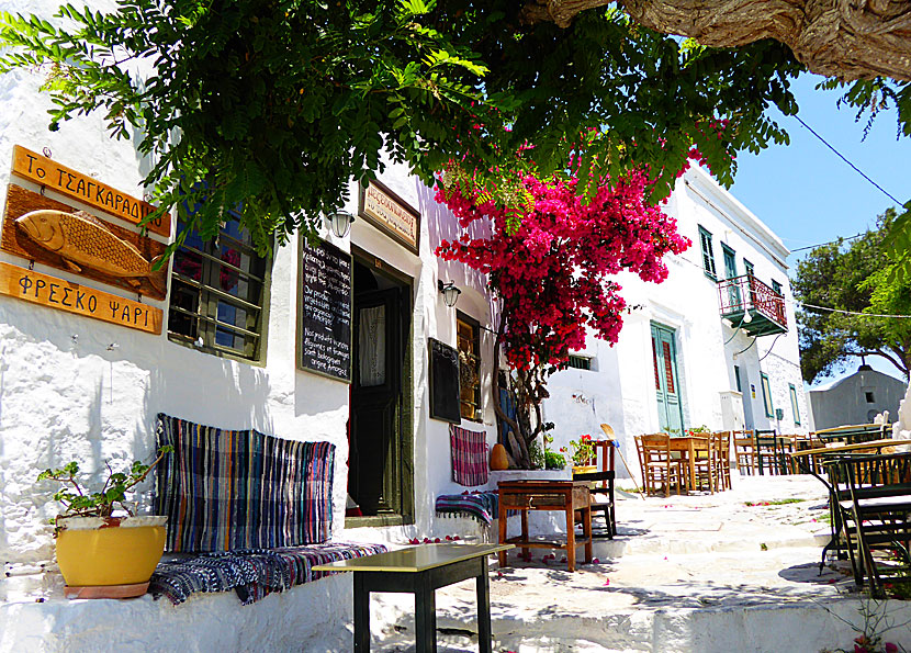 Restauranger i Chora på Amorgos.