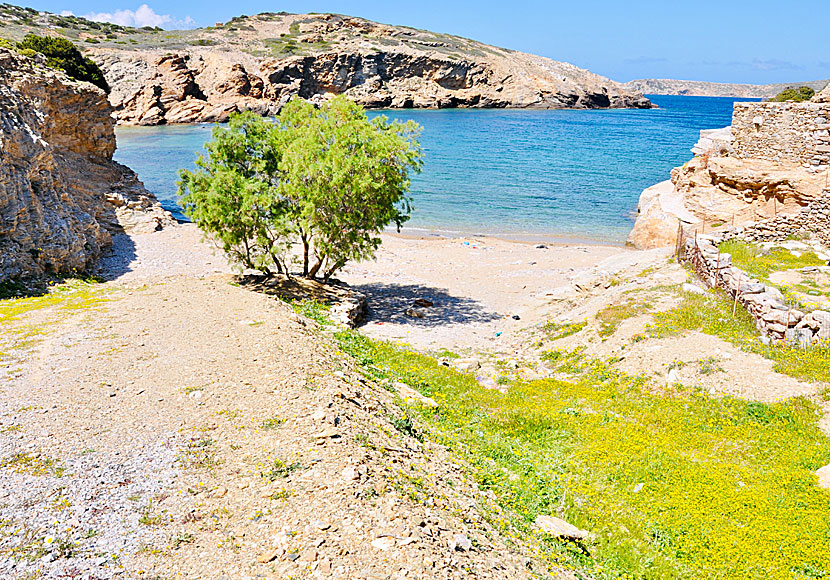 Amorgos bästa stränder. Paradisi beach.