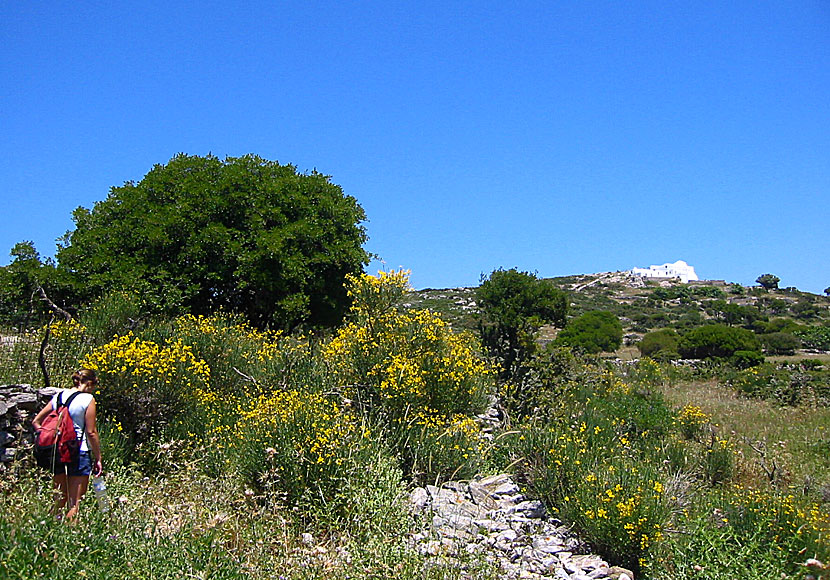 Vandra till det obebodda klostret Agios Theologos ovanför Langada på Amorgos.