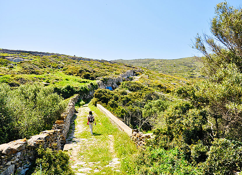 Vandring mellan Vroutsi och Arkesini på Amorgos.