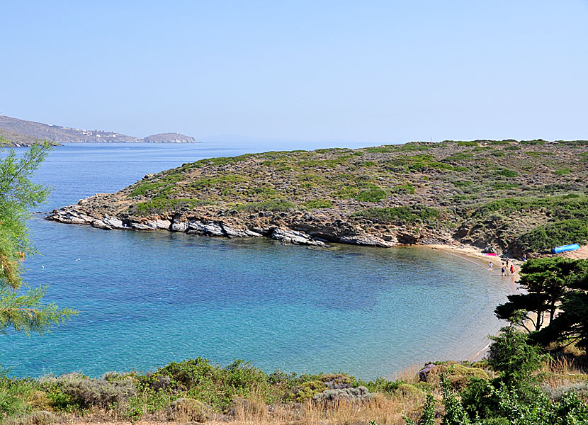 Andros bästa stränder. Kolona beach.  Batsi.