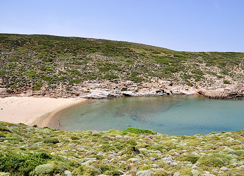 Andros bästa stränder. Mikro Ateni beach.  