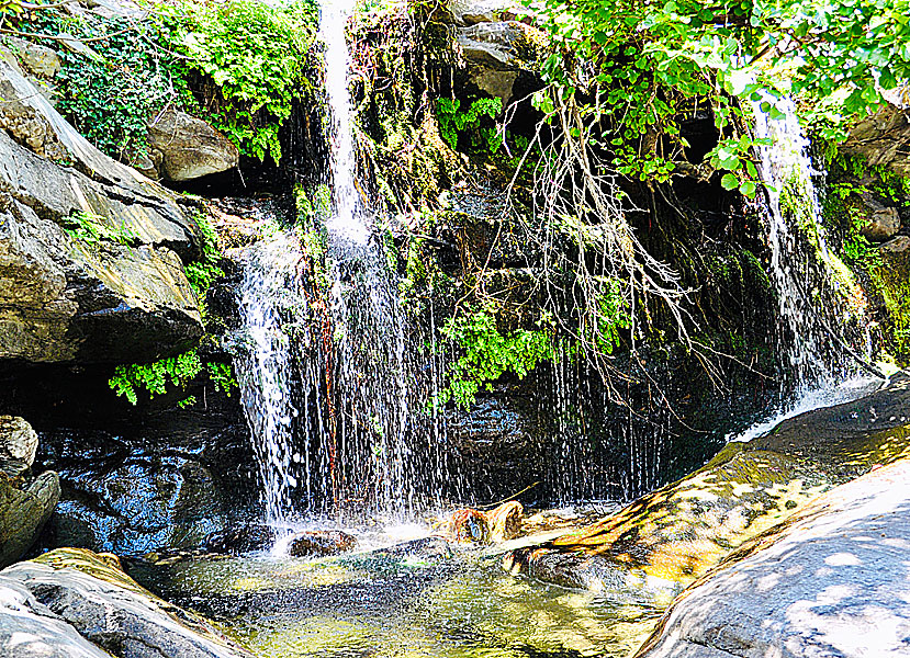 En av de bästa vandringarna på Andros går från byn Stenies till Pithara Waterfalls.