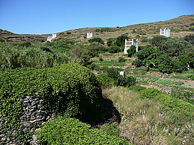 Vandra på Tinos i Grekland. Kalimera. 