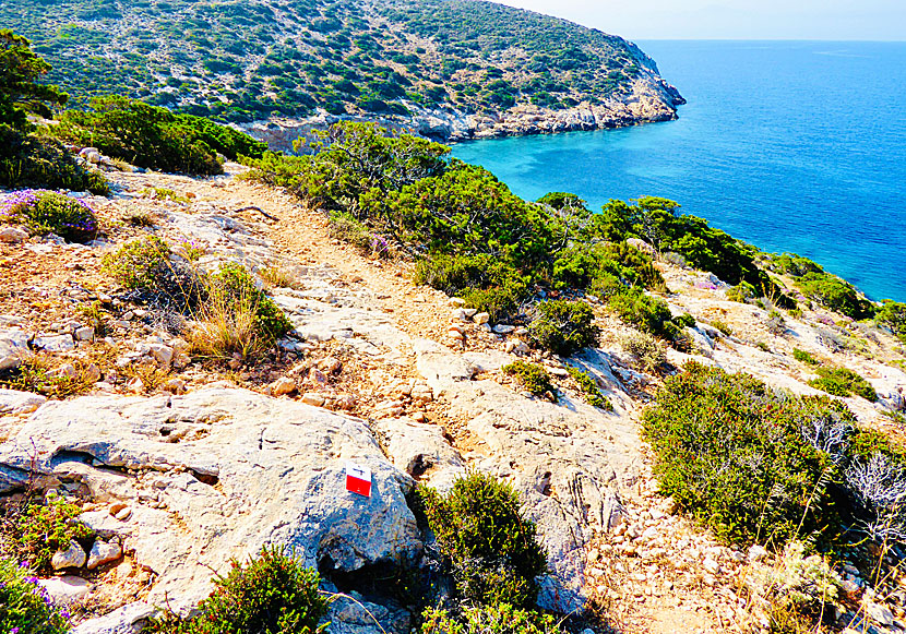 Det finns fem utmärkta vandringsleder på Donoussa, nummer 4 går till bland annat Kalimera beach.