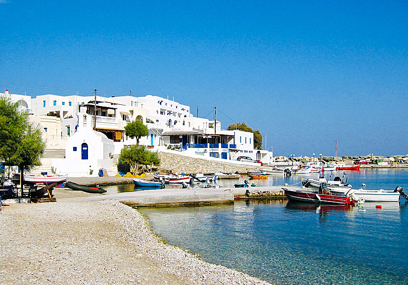 Vardia Bay Studios i hamnen på Folegandros.