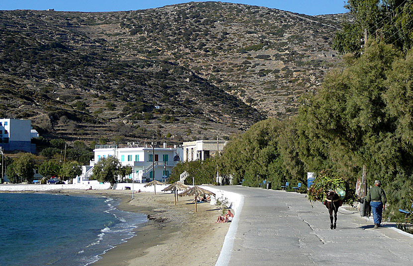 Katapola beach. Amorgos.