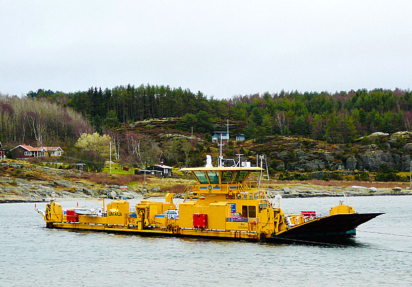 Färjan Maj som går mellan Ellös och Malö på Orust i Bohuslän tar lite drygt 3 minuter.