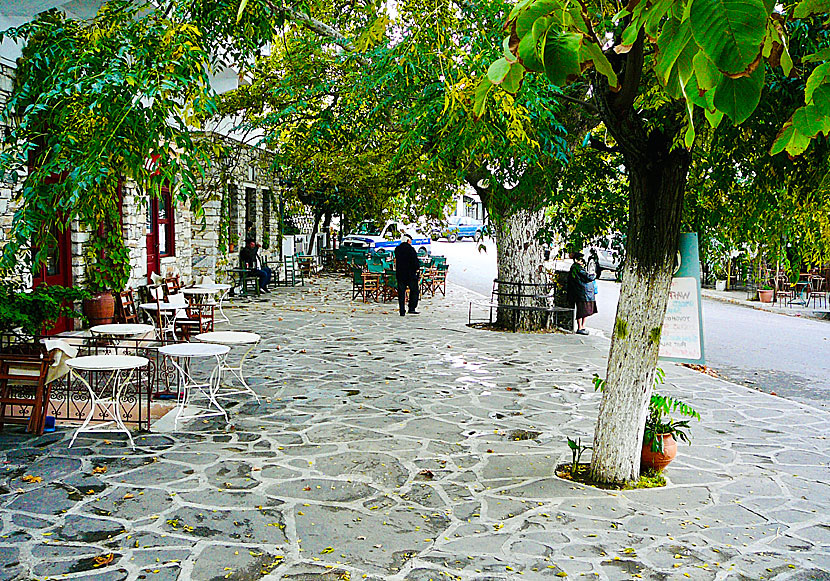 Huvudgatan i Filoti på Naxos med sitt platantorg med kaféer och tavernor. 