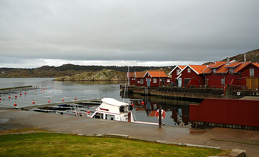 Grönvik på Malö.