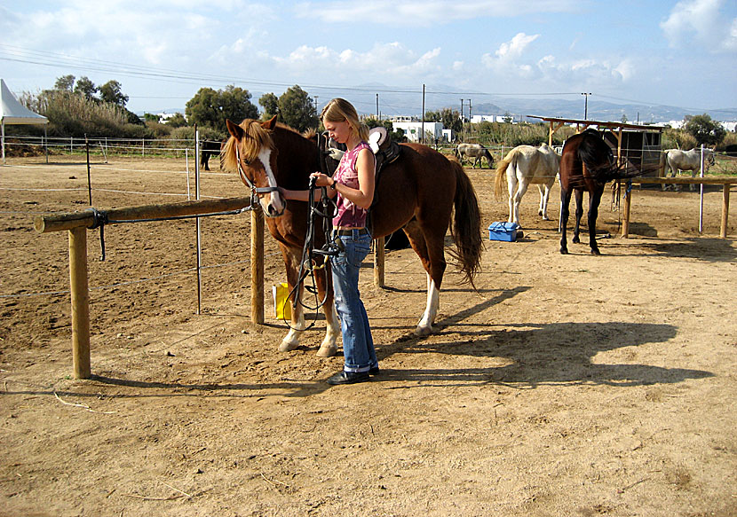 Stamatis Horse Riding Centre på Naxos.