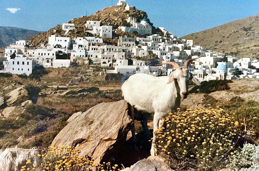 Chora på Ios i Grekland 1986.
