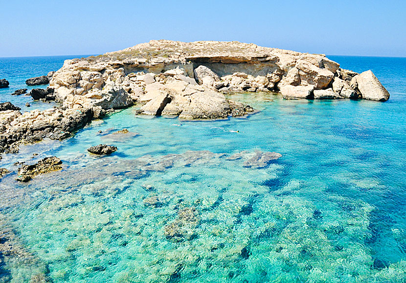Snorkla på Karpathos i Grekland.