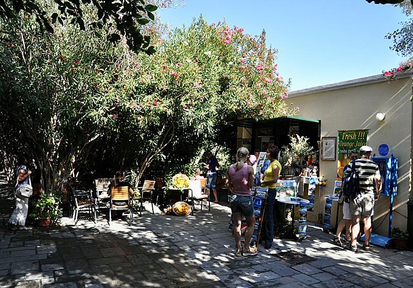 Guidade turer runt Asklepion på Kos finns börjat vid det lilla kaféet.  