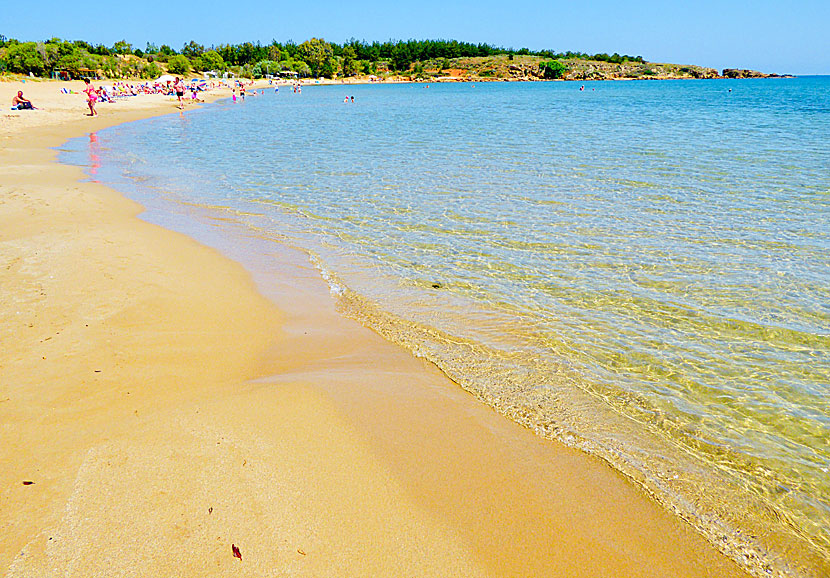 Fina stränder väster om Chania på Kreta.  Chrissi Akti beach.