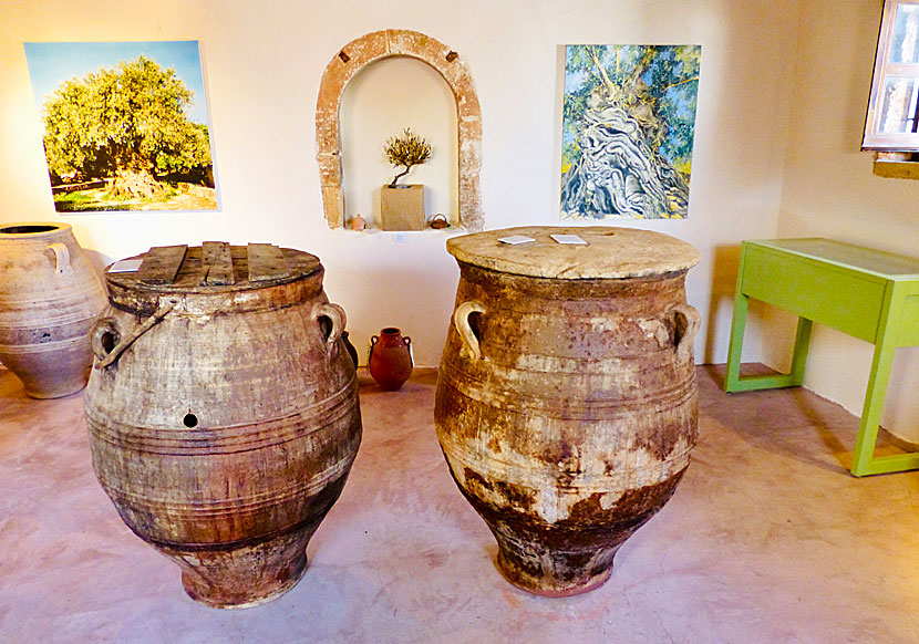 Olivmuseum i byn Vouves nära Kolymbari på västra Kreta.