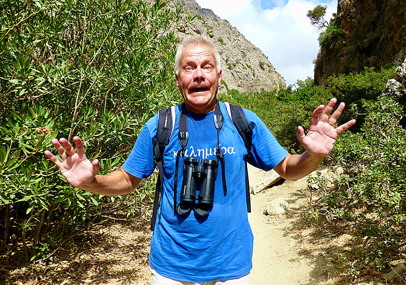 Farliga ormar på Kreta i Grekland.