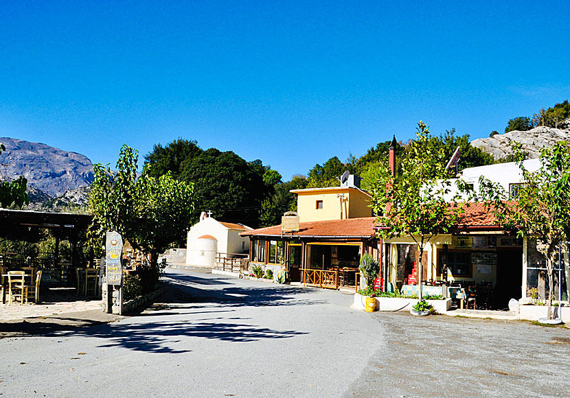 Katharo centrum och Stereos Taverna på Katharoplatån.