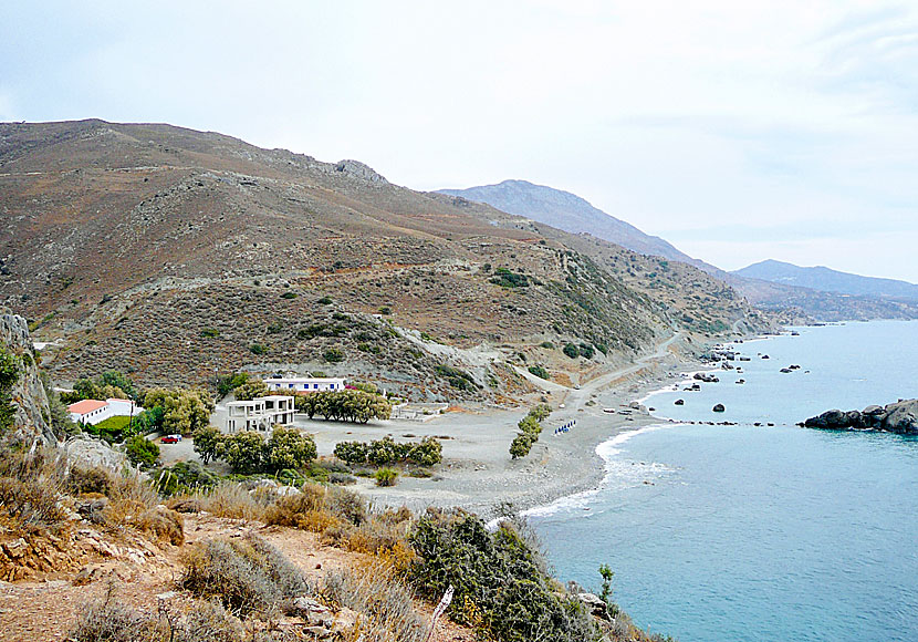 Ammoudi beach på Kreta där det finns taverna, minimarket och rum att hyra.