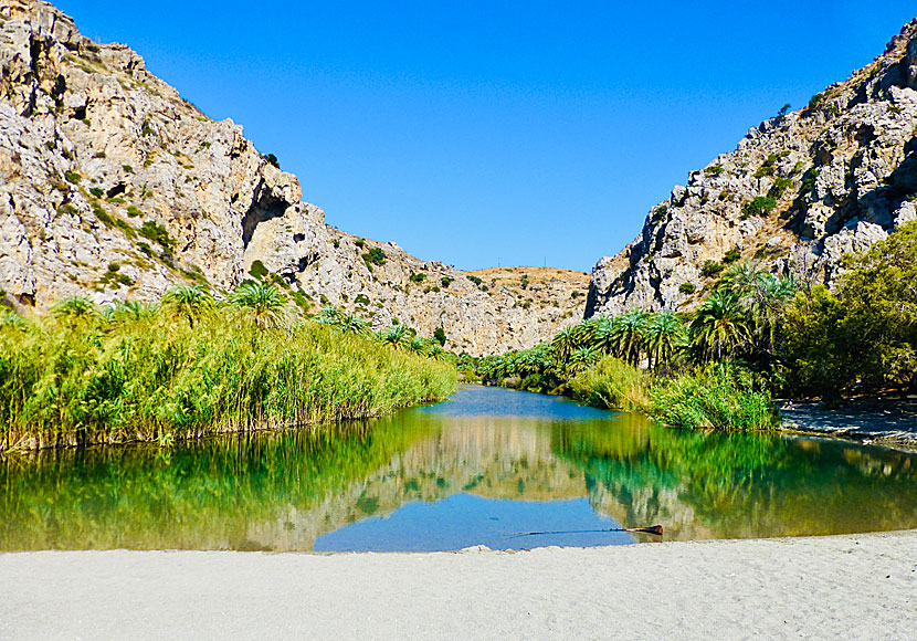 Den lilla floden i Preveli kantas av palmer och mynnar ut på stranden.