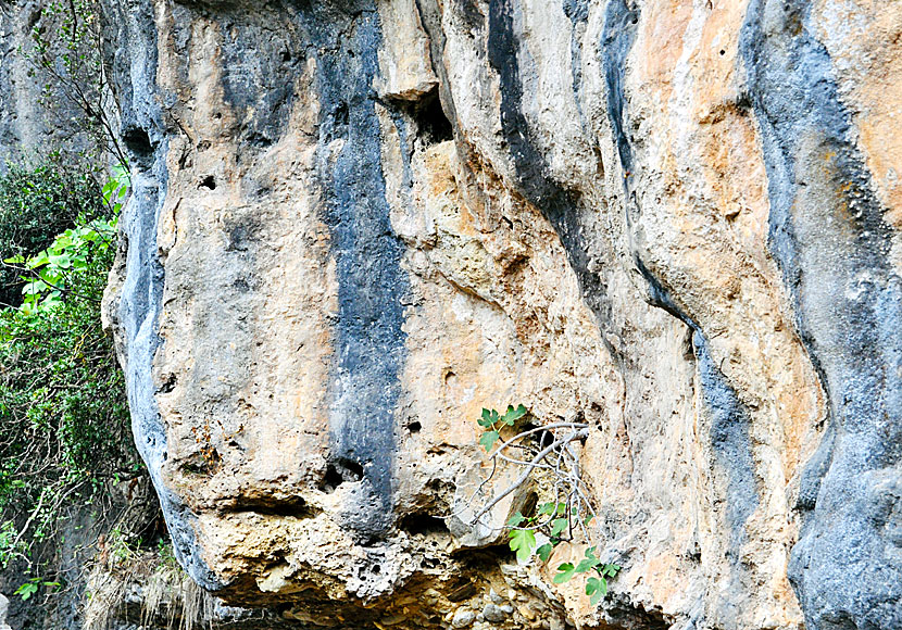 Vackra klippformationer i Mili Gorge.