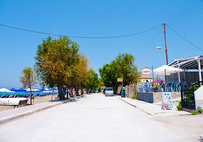 Tavernor i Anaxos på Lesbos.