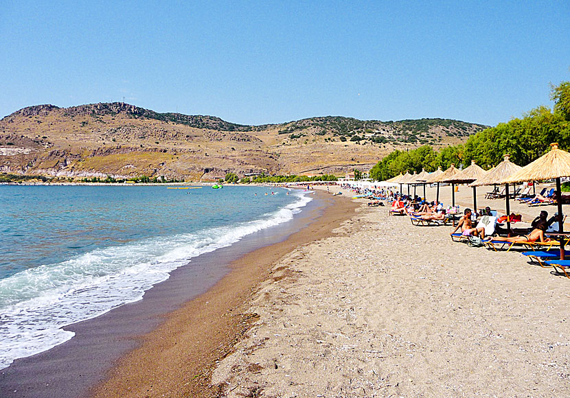 Lesbos bästa stränder. Petra beach.