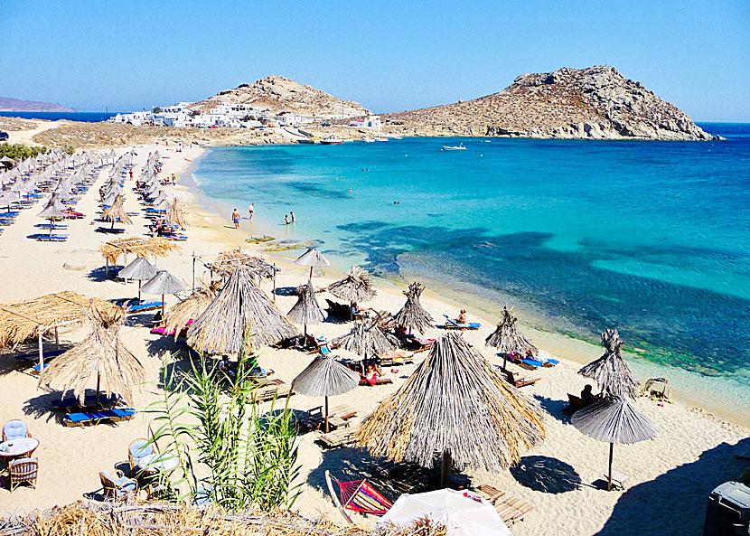 Mykonos bästa stränder. Agia Anna beach.