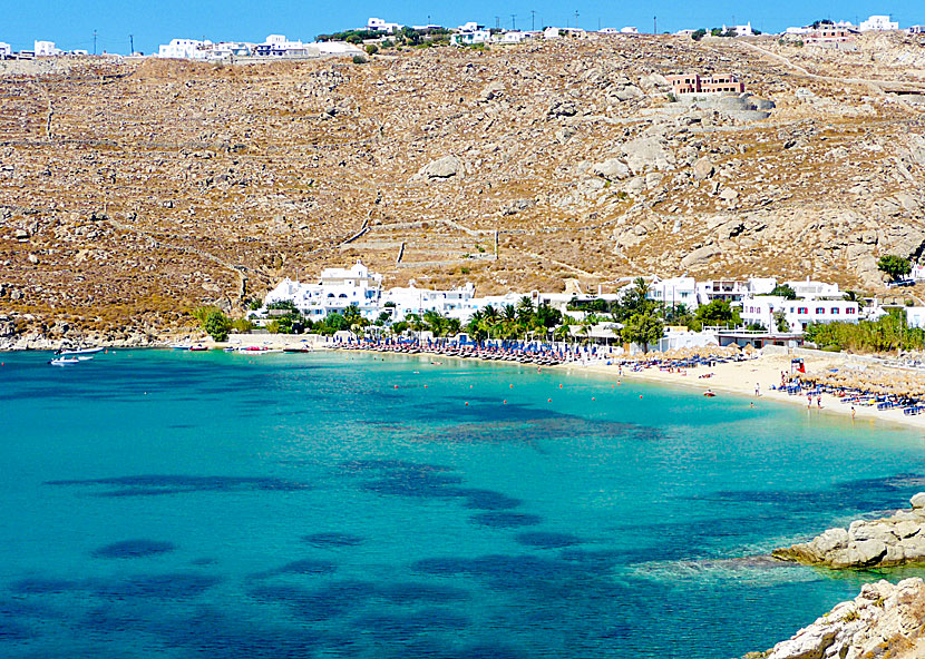 Mykonos bästa stränder. Psarou beach.