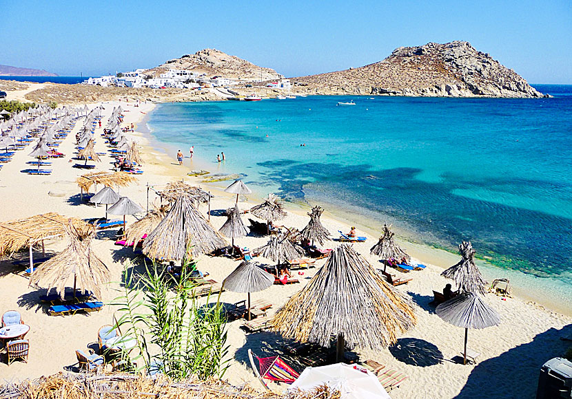 Agia Anna beach på Mykonos i Kykladerna.