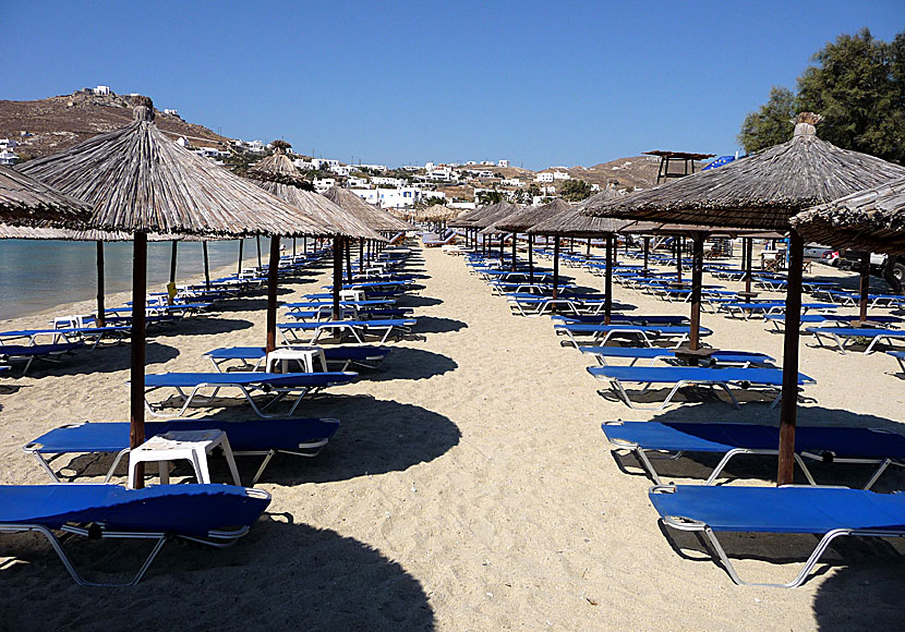 Solstolar på Ornos beach på Mykonos.