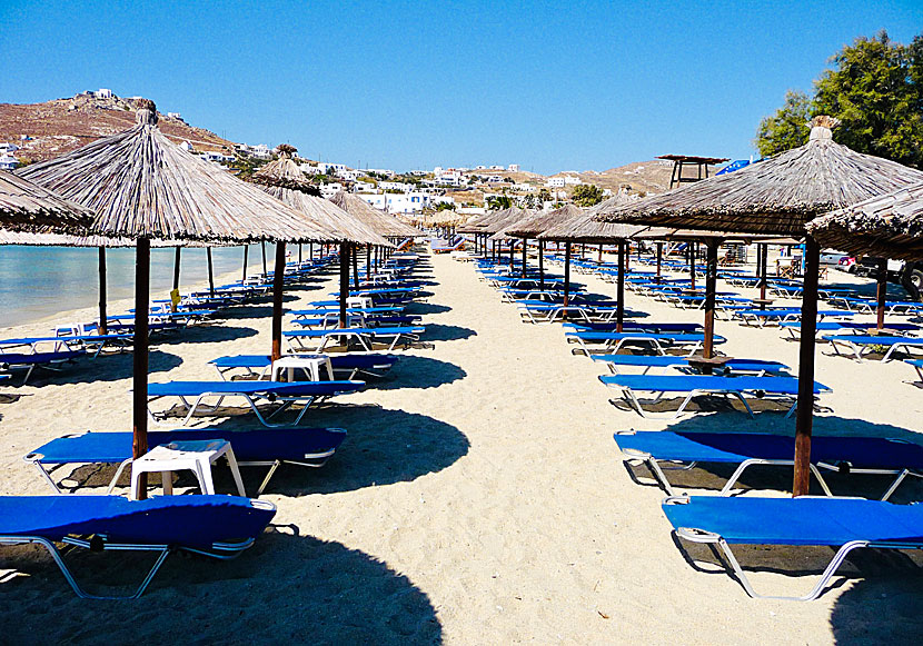 Solstolar på Ornos beach på Mykonos.