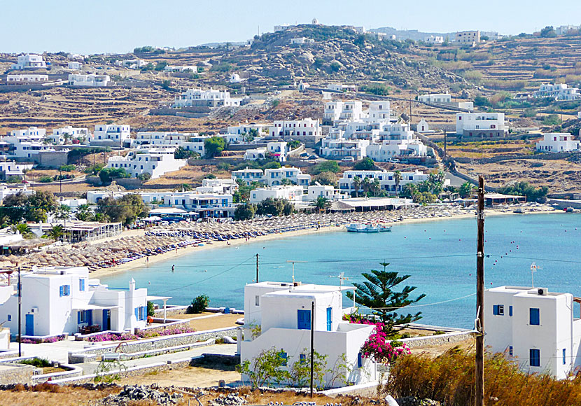 Platis Gialos beach på Mykonos i Grekland.