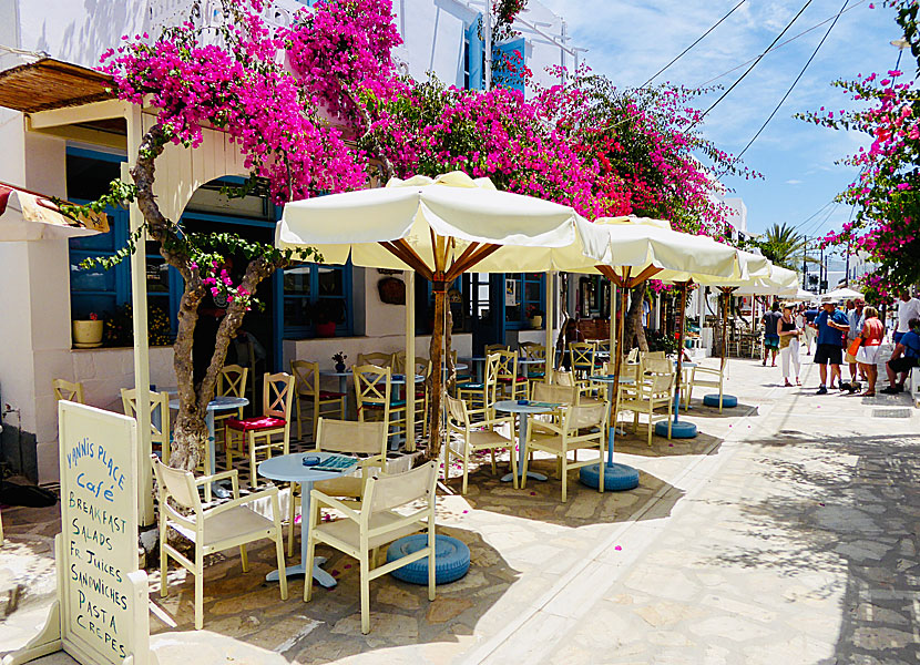 Bougainvillea i Chora på Antiparos i Grekland. 