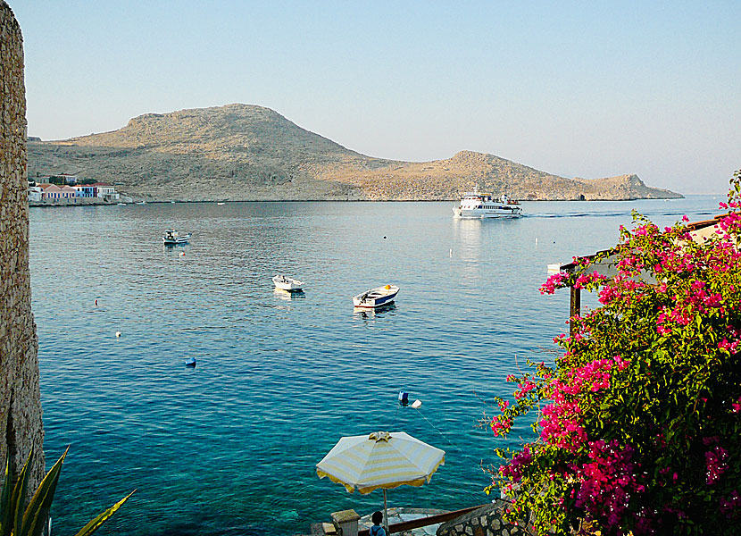 Bougainvillea i Emborio på Chalki i Grekland. 