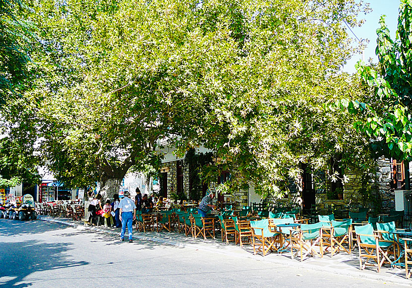 Tavernor i Filoti på Naxos.