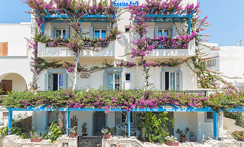 Pension Sofi är ett av de bästa hotellen på hela Naxos.