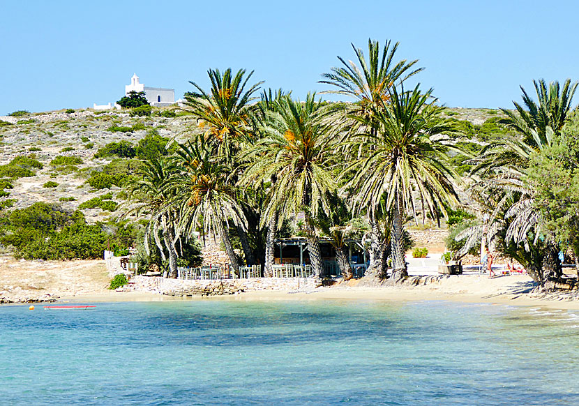 Paros bästa stränder. Agia Irini  beach.