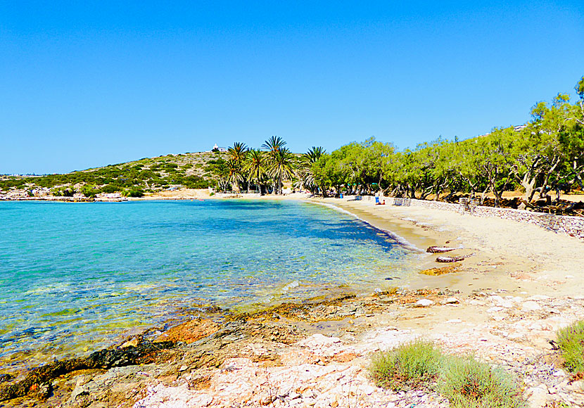 Agia Irini beach på Paros i Kykladerna.