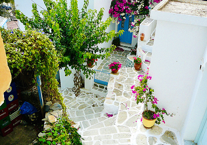 Lefkes. Paros.