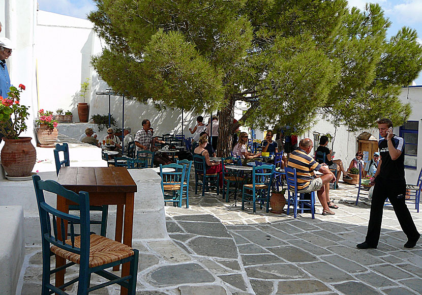 Tavernor i Lefkes på Paros.