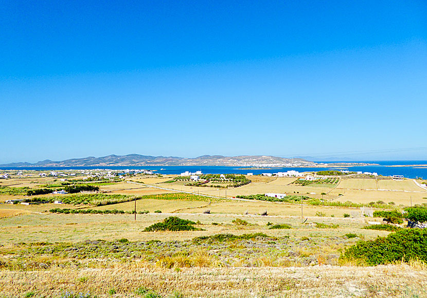 Hyra bil, cykel och moped på Paros.