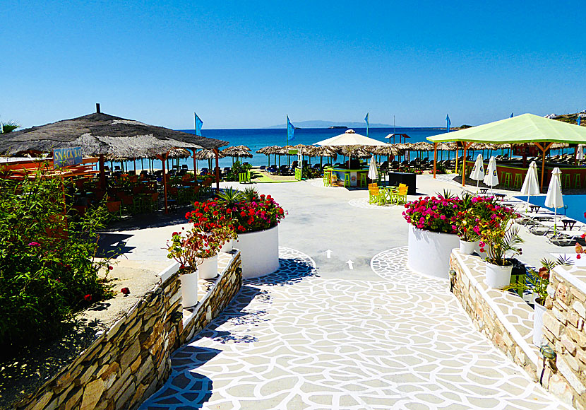 Viva Punda bar vid Pounda beach på Paros.