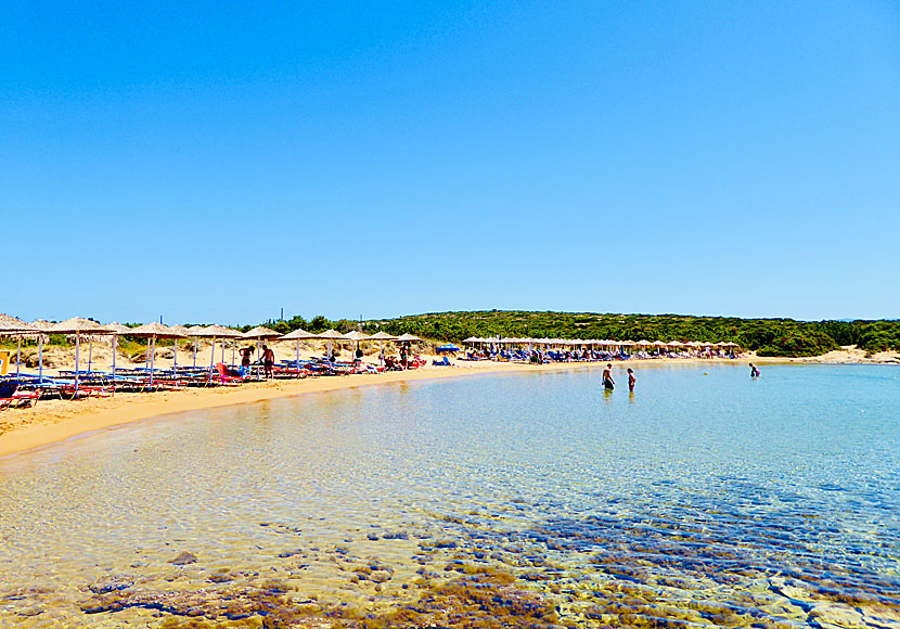 Den barnvänliga sandstranden Santa Maria på Paros i Kykladerna.   